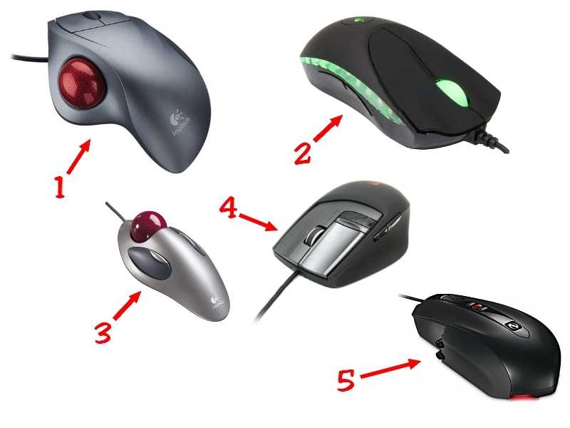 Какие типы мышей. Разновидности компьютерных мышек. Формы компьютерных мышек. Типы компьютерных мышей. Форма компьютерной мыши.