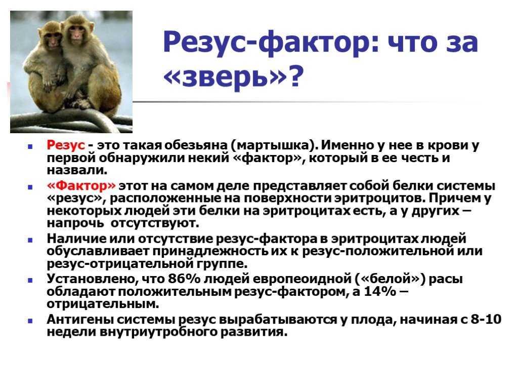 Резус фактор обезьян