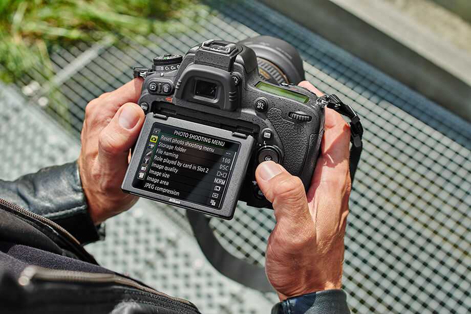 Тест фотокамеры canon powershot sx620 hs
